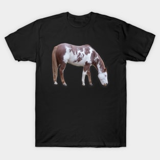 American Paint Horse T-Shirt